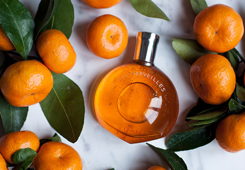 8 parfums pour le Nouvel An et Noël