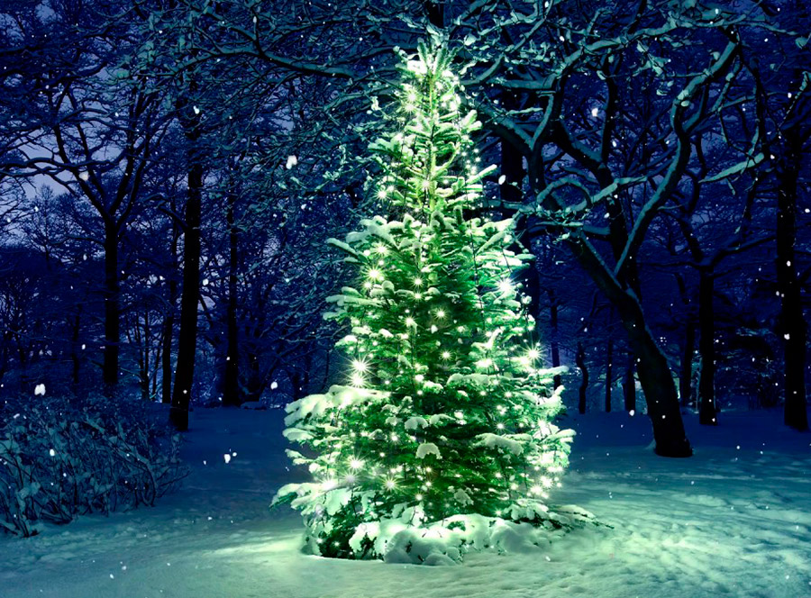 Quels matériaux peuvent honnêtement être appelés FIV