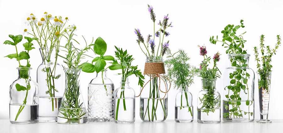 Que sont les hydrolats