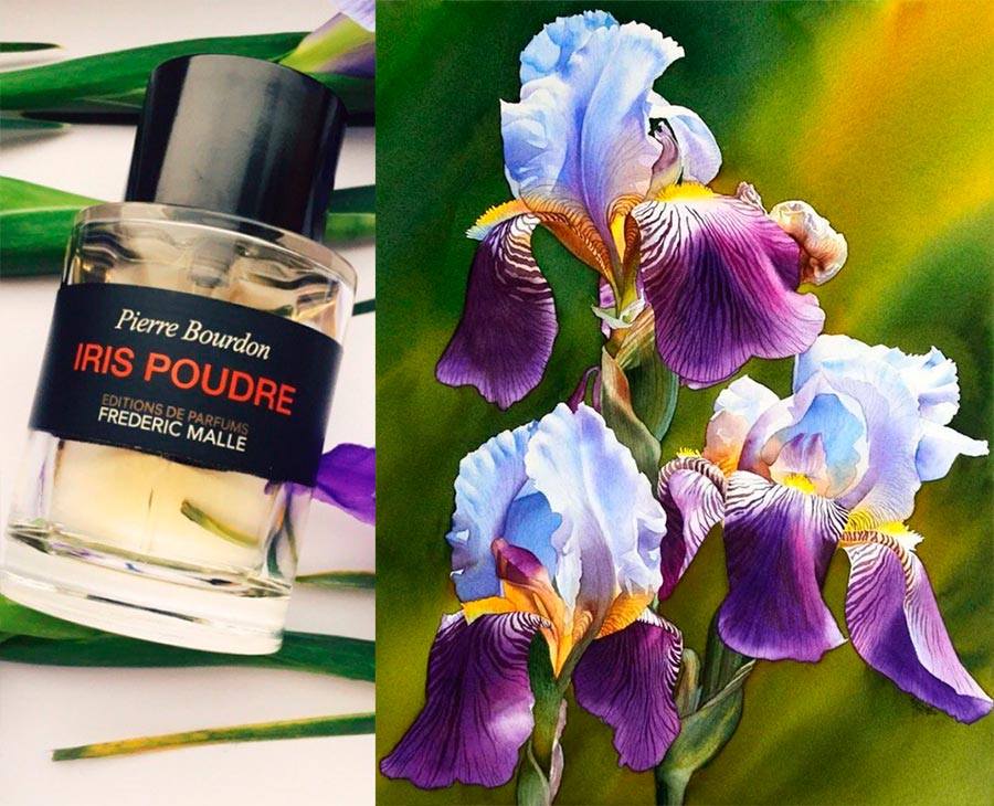 Parfum Iris