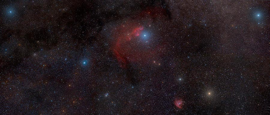 5 parfums universels : parfum pour toutes les saisons