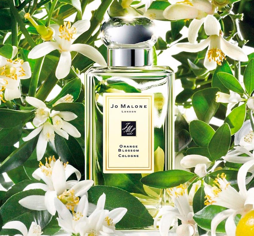 Parfum d'été