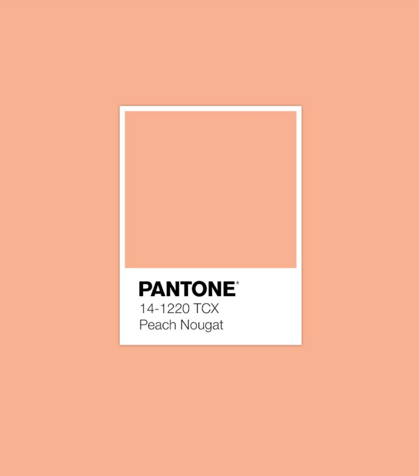 Nuances à la mode 2025-2026