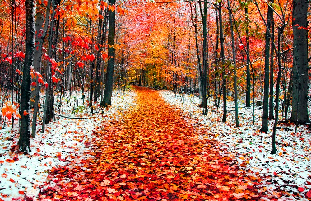 10 fragrances parfumées pour l'automne