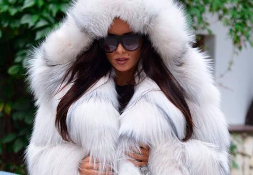 À quoi ressemblent un vrai renard arctique et un manteau de fourrure de renard ?